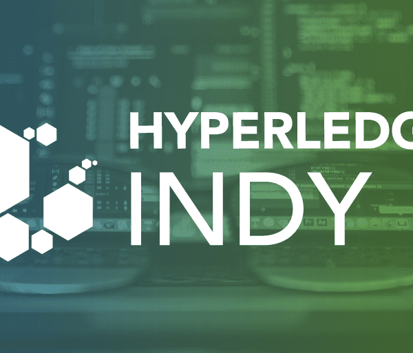 Setup Hyperledger Indy Pool in Ubuntu