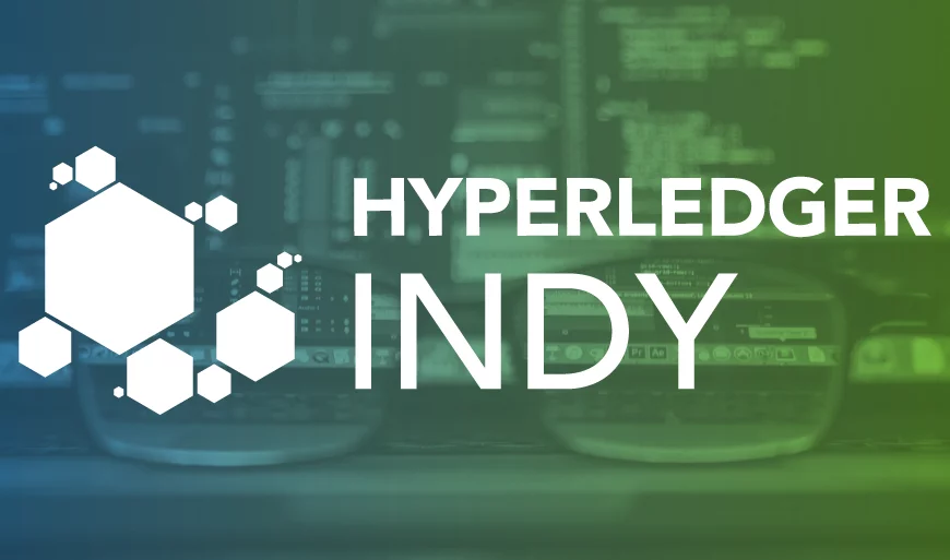 Setup Hyperledger Indy Pool in Ubuntu